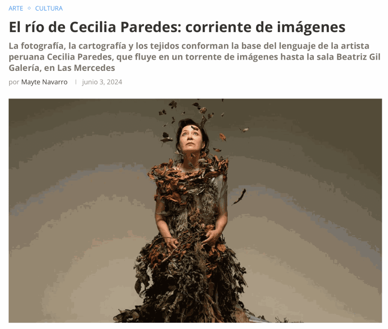 El río de Cecilia Paredes: corriente de imágenes, De conveniencia