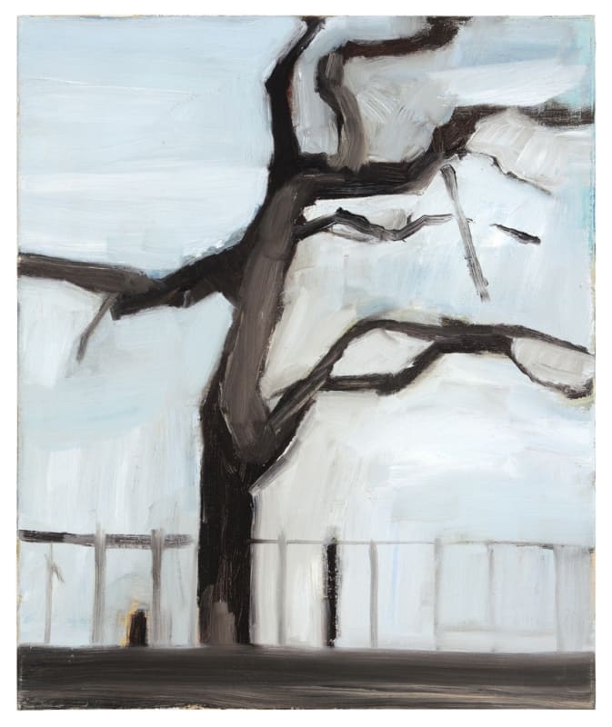 Ilse D'Hollander