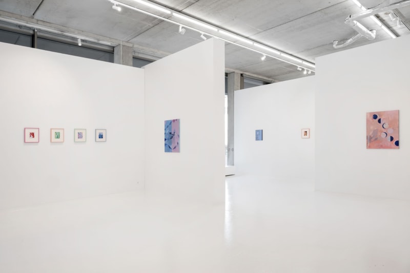 Catharina Dhaen, Metamorphosis