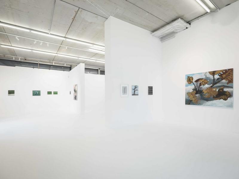 Ilaria Bonacossa on Silent Talk, Ilse D'Hollander & Cristof Yvoré