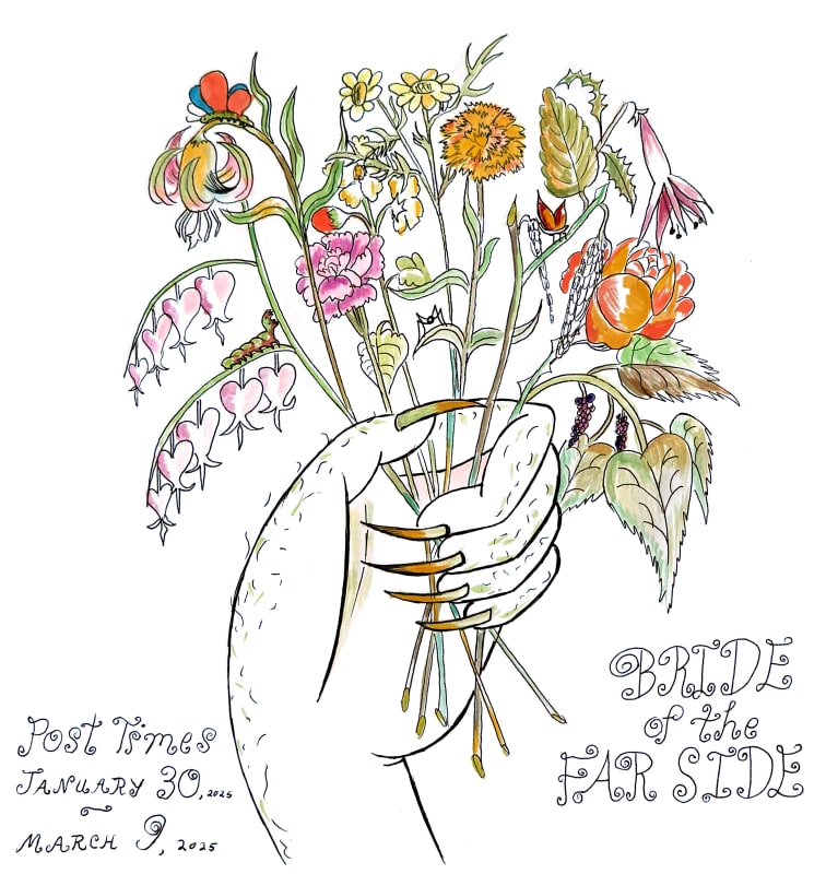 Bride of The Far Side