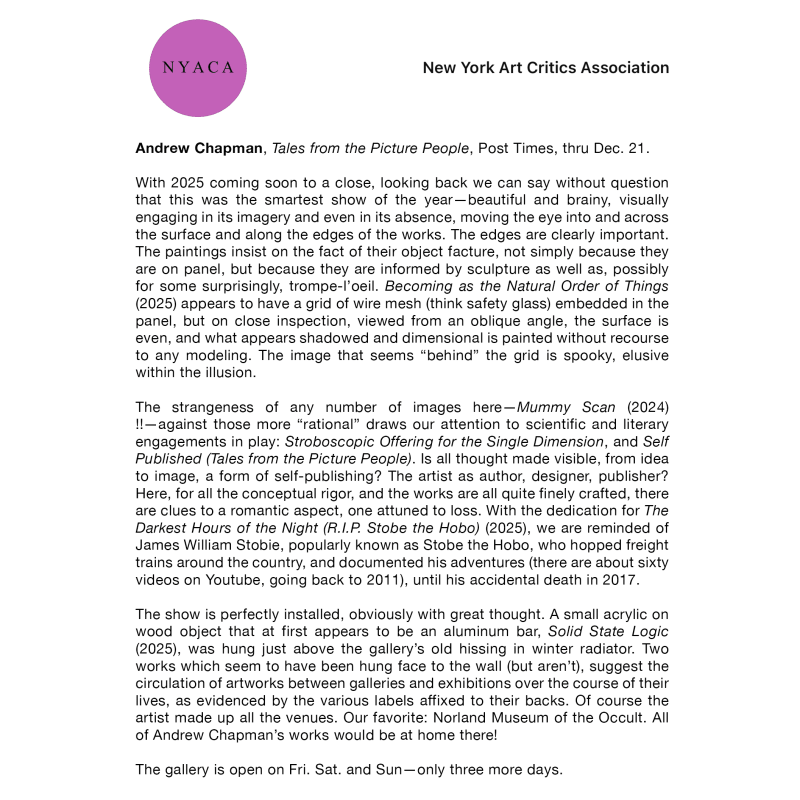 New York Art Critic's Association on Andrew Chapman