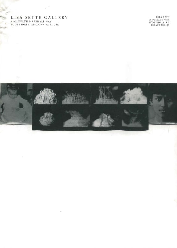 Volume 2, Number 1, Newsletter