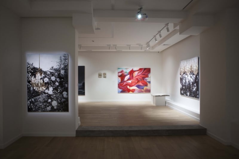 Photosynthesis | Artem Volokitin. Tatyana Malinovska. Vitaliy Kokhan