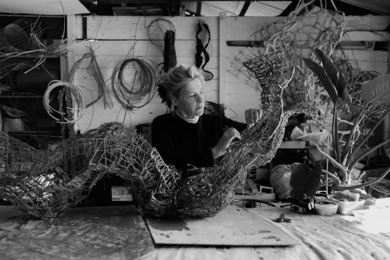 Image © Nicholas Watt