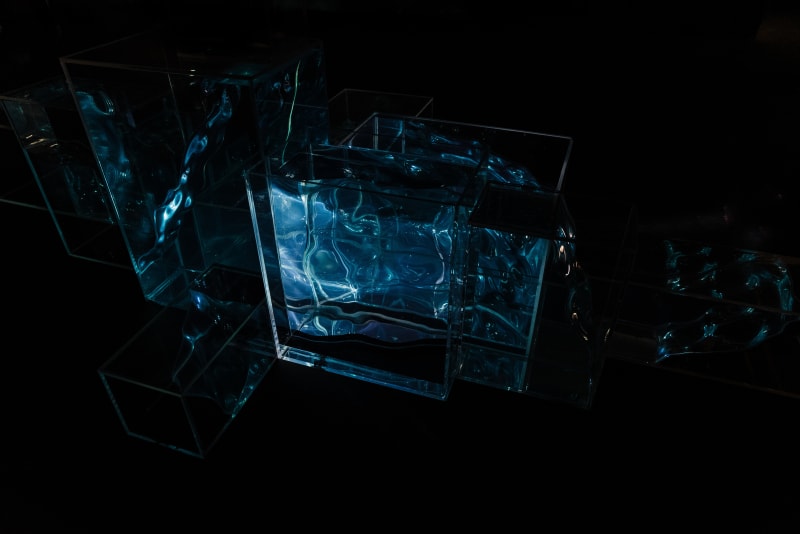 Seeking the Landscapes, Ellis Holman