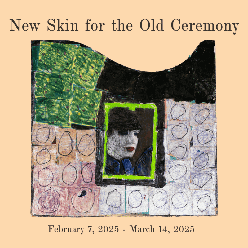New Skin for the Old Ceremony, Guest curated by Öykü Kolat