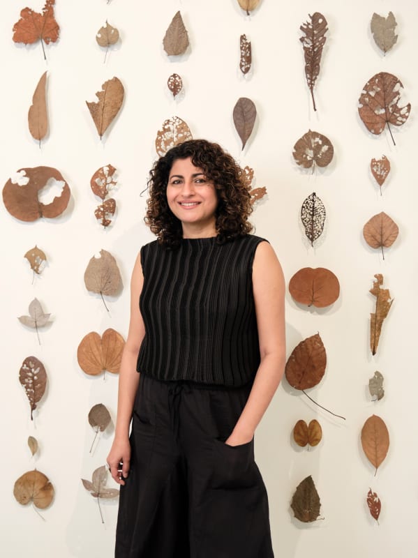 Alpana Vij