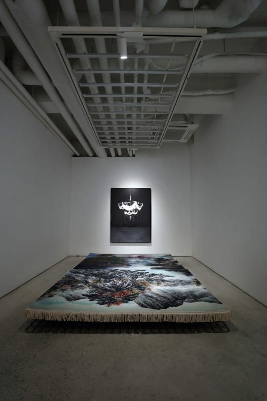 Skin_Layer, 2022, 피그먼트 프린트, 150×110cm 예민성을 위한 연습, 2022, 카페트에 UV 프린트, 매트리스 스프링, 레이스, 20×198×295cm