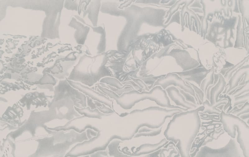 Josephine Taylor, Lepidoptera, at night, 2023