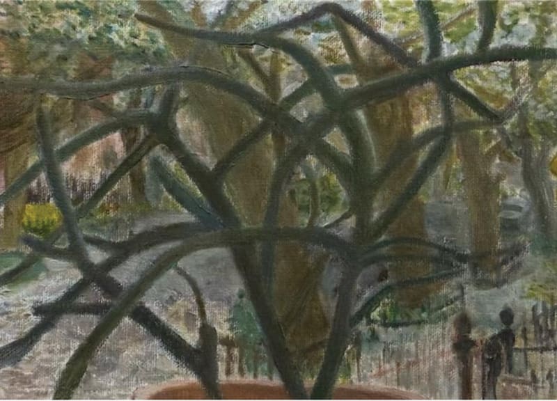 Austin Chang, PENCIL CACTUS, 2025