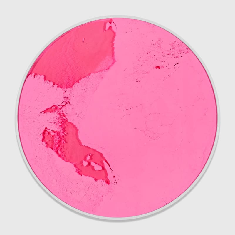 Rose Fushia, Edition of 10