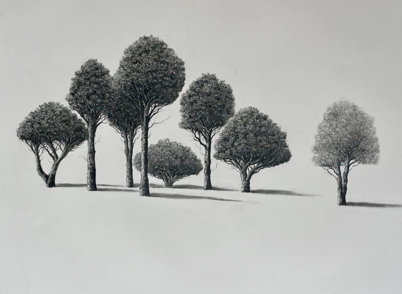 Sorca O'Farrell, Family Secrets