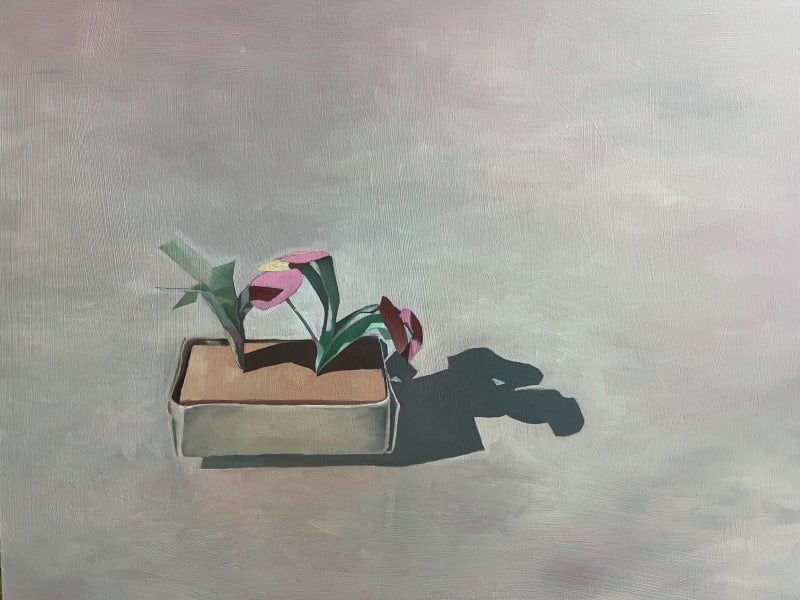 Edel Campbell, Tomorrow