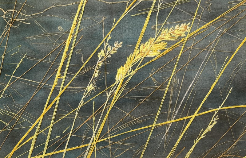 Nuala O'Dea, New Year's Day