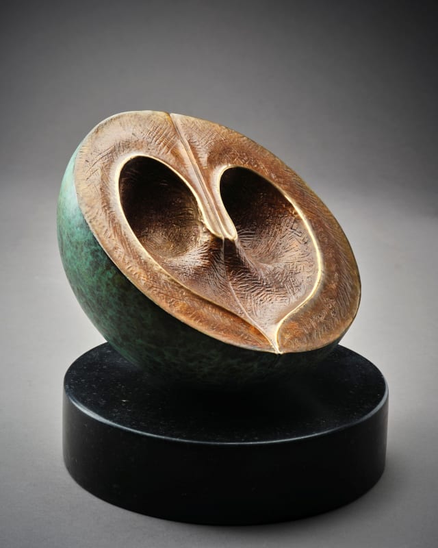 Richard Healy, Found Heart