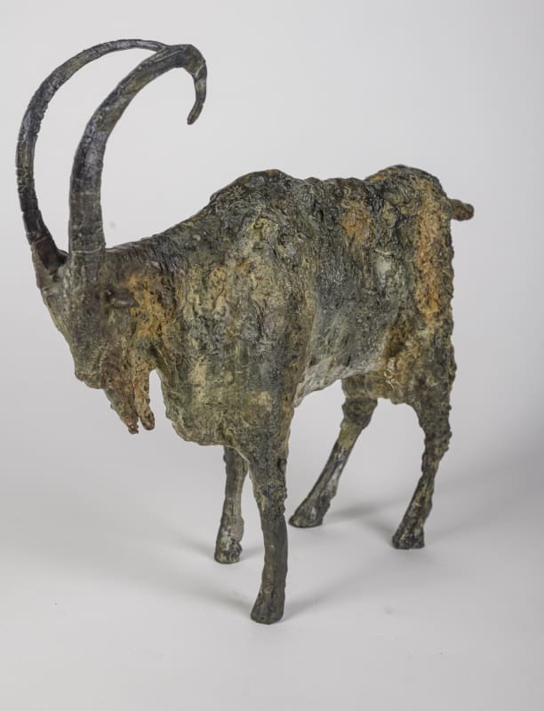 Cheryl Brown, Irish Goat