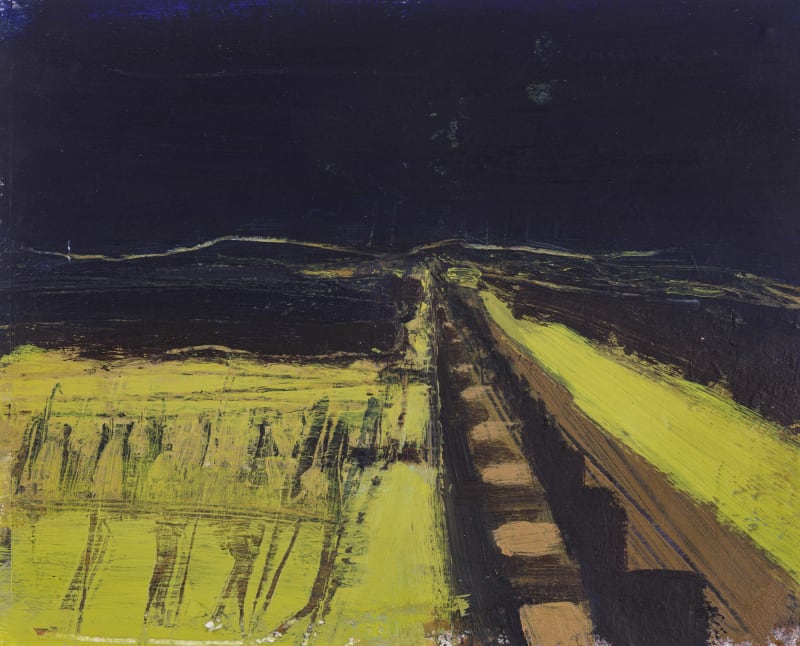 Kelly McCluskey, Where the Light Leads