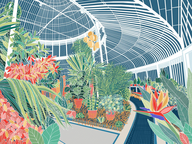 Deborah Hill, Inside the Palmhouse IV