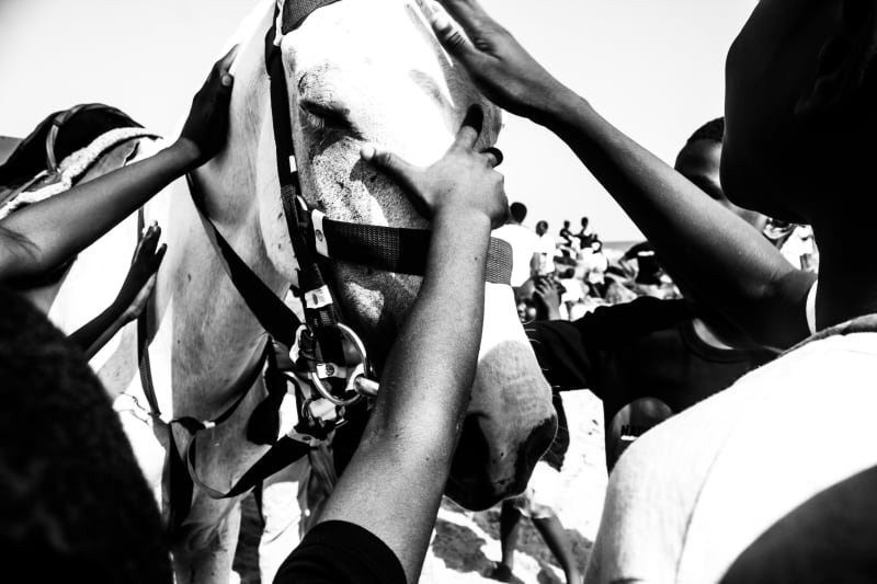 Logo Oluwamuyiwa at Somerset House, London