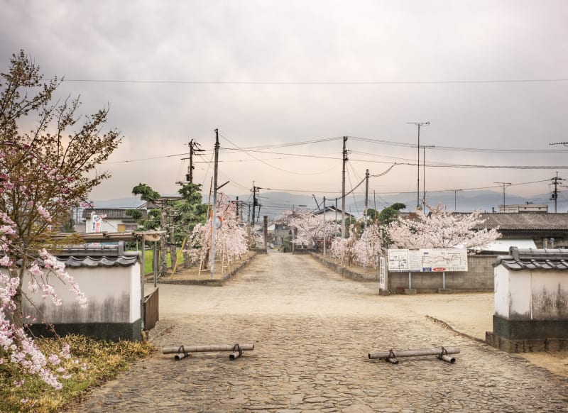 THE EIGHTY-EIGHT: William Wylie, Photographs from a Japanese Pilgrimage