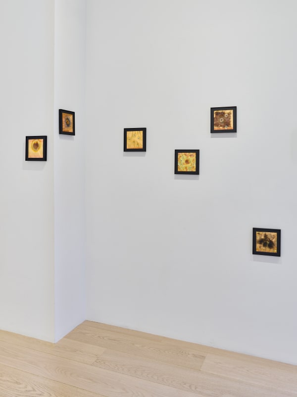 Rohini Devasher | Sol Drawings
