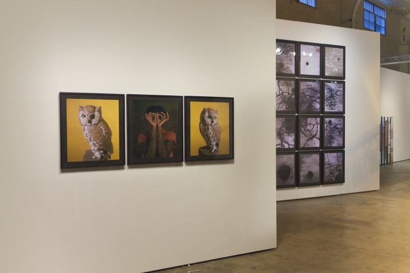 María Magdalena Campos-Pons: If I Were A Poet, installation view, Gallery Wendi Norris Offsite, 649 Mason Street, San Francisco, CA, January 11 - 28, 2018, photography: Maciek Janicki