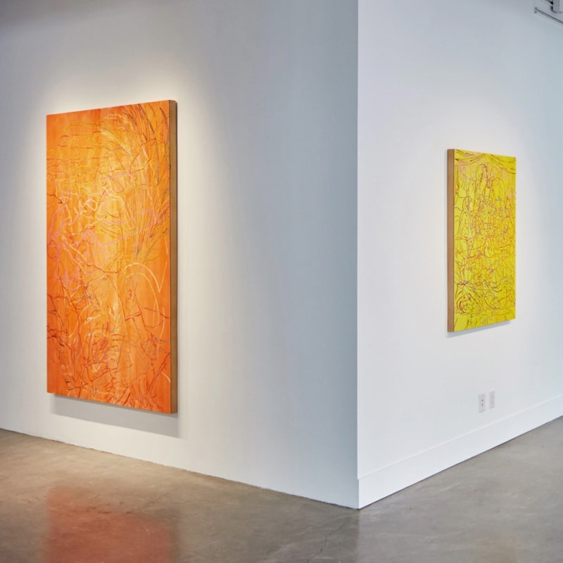 Ranu Mukherjee: Shadowtime, 2017, installation view, Gallery Wendi Norris, San Francisco, May 18 - July 8, 2017, photography: JKA Photography