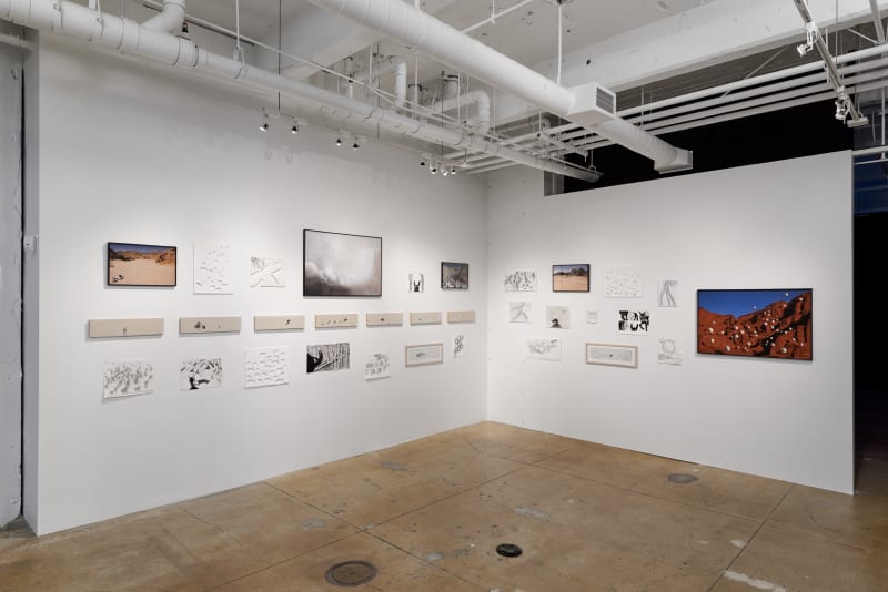Miguel Angel Ríos: A Trilogy, installation view, Gallery Wendi Norris, San Francisco, CA, April 28 - July 5, 2016, photography: John Janca