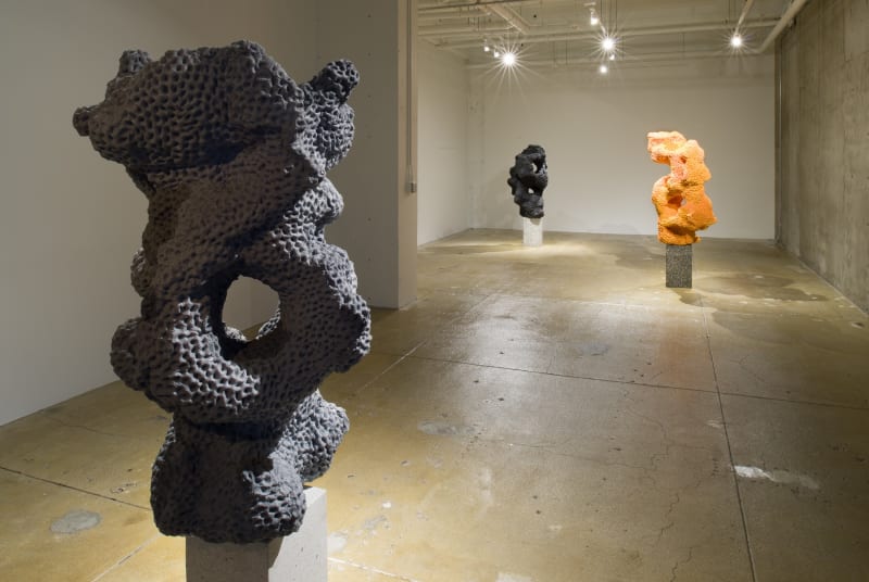 Nicholas Lobo: D.O.W., installation view, Gallery Wendi Norris, San Francisco, CA, September 4 — November 1, 2014, Photographer: JKA Photography