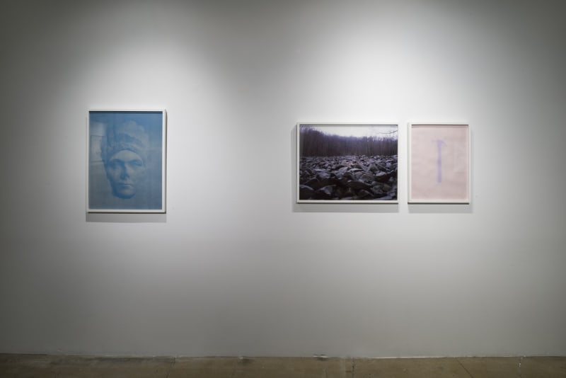 Christine Elfman: Fix and Fade, installation view, Gallery Wendi Norris, San Francisco, CA, June 5 — August 2, 2014, Photographer: JKA Photography