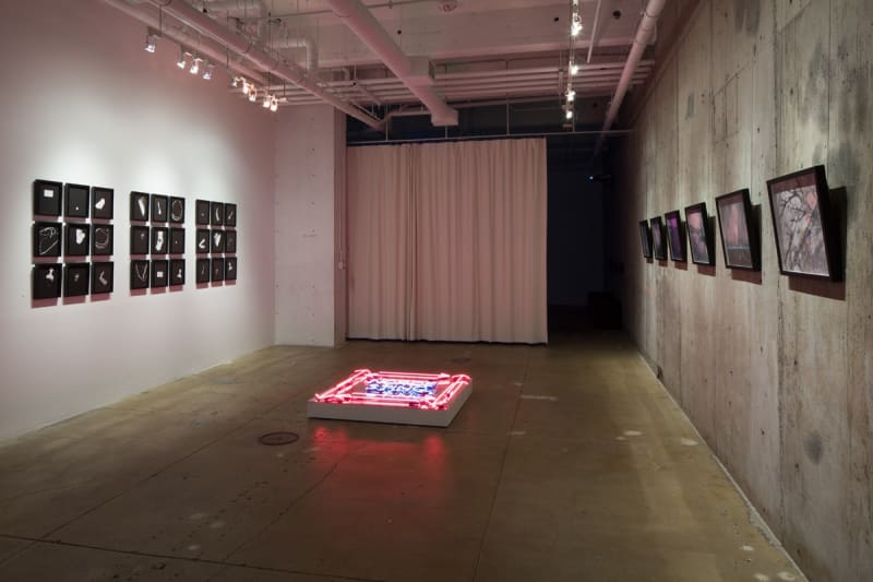 Julio César Morales: Forever Now!, installation view, Gallery Wendi Norris, San Francisco, CA, May 2 — June 29, 2013