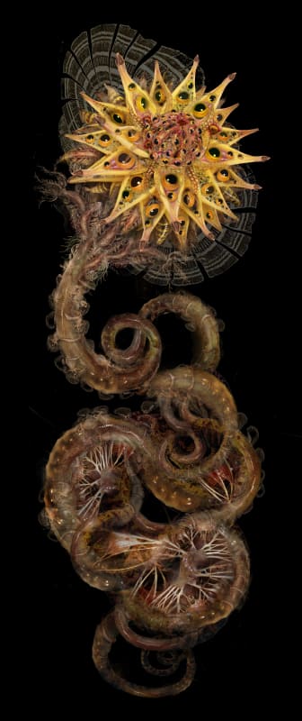 Rohini Devasher, Chimera II (right), 2007, color pencil and archival pigment print on archival paper, 102 x 42 in / 259.08 x 106.68 cm.