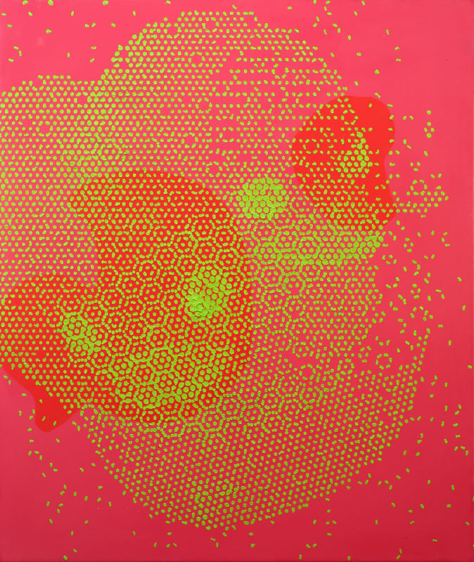 Human Faces, Rubber Ducks and Other Misunderstandings IV, 2024 oil on canvas 60 x 50cm