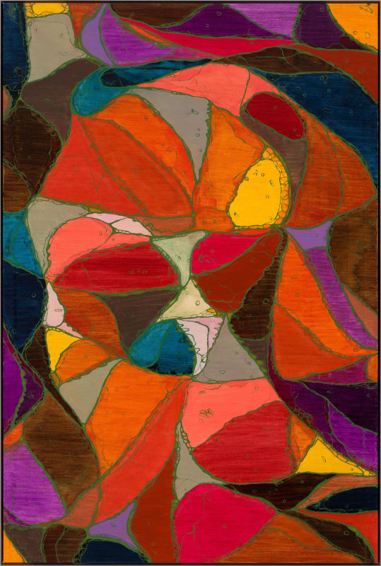 Spectra, Sean McDowell