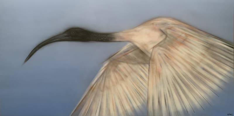 Exhibition Opening: Feathers Will Fly