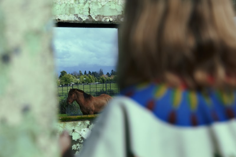 HORSE MANE WEAVING: SILVIA FURMANOVICH