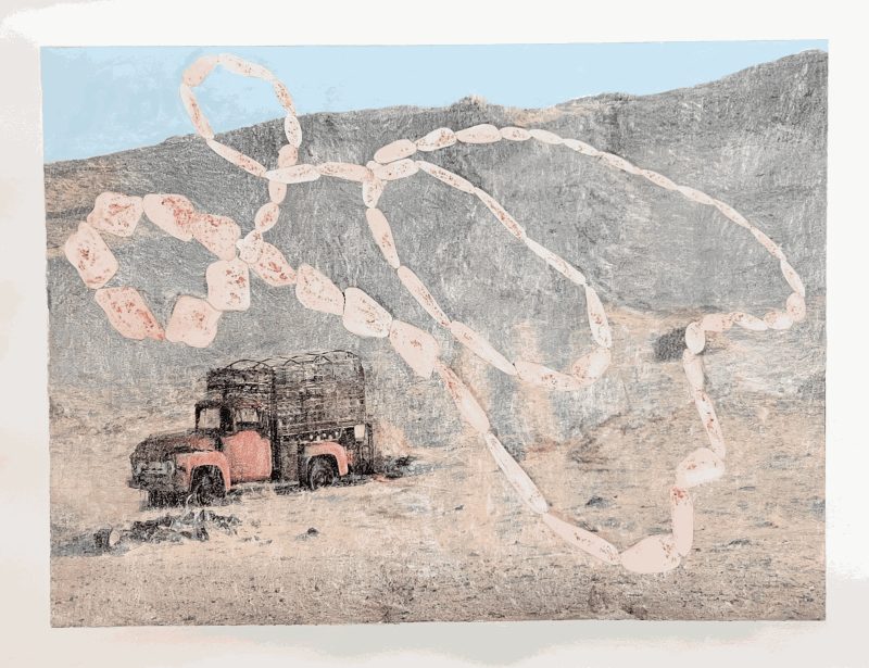 علامات, دانية الصالح, سوزان كريمان