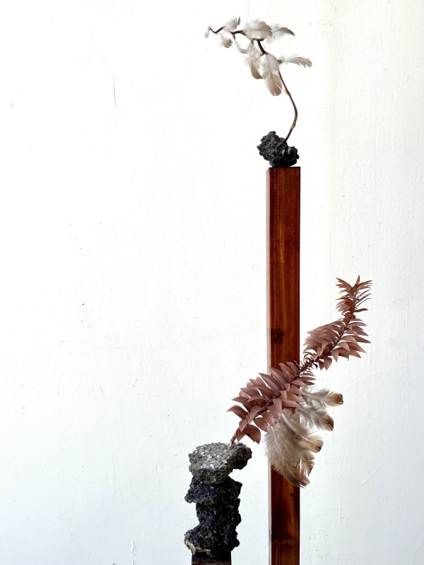 Alessandro Brighetti