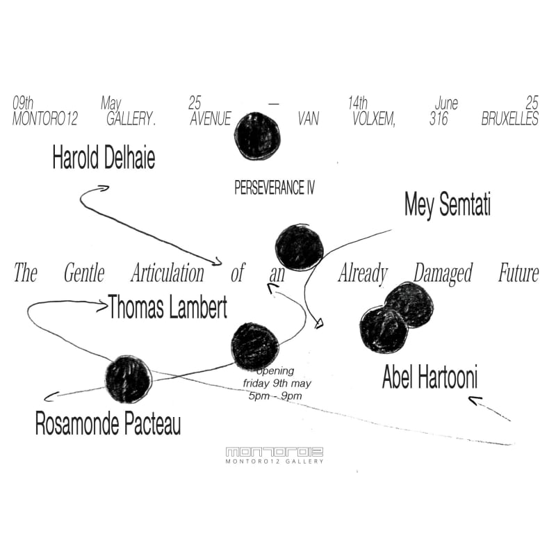 PERSEVERANCE IV - The Gentle Articulation of an Already Damaged Future -