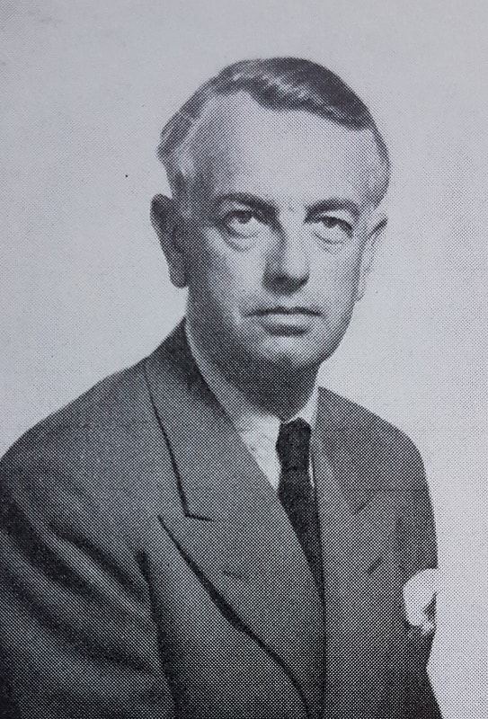 Portrait of the Swedish Surrealist artist Stellan Morner