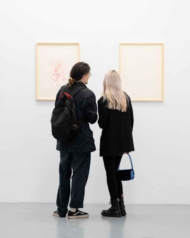 Common Body Press Release in Observator Cultural