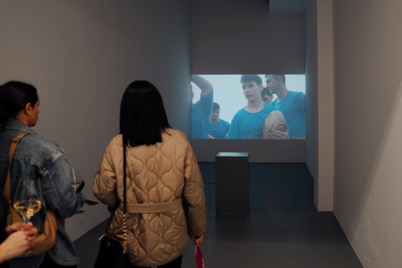 Rubin's Vase press release in IGLOO