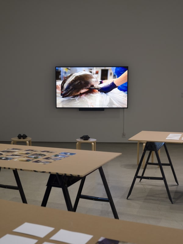 Installation views. Courtesy of the ICA LA