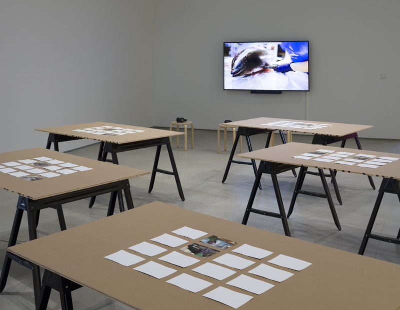 Installation views. Courtesy of the ICA LA