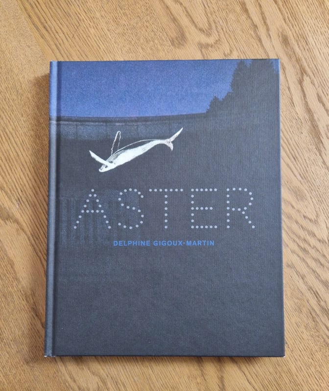 Delphine Gigoux-Martin, ASTER