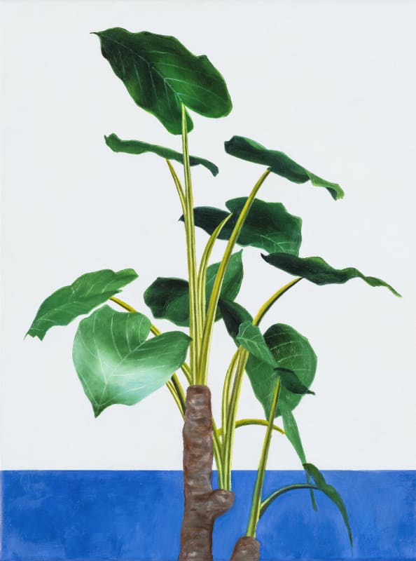Marius Steiger