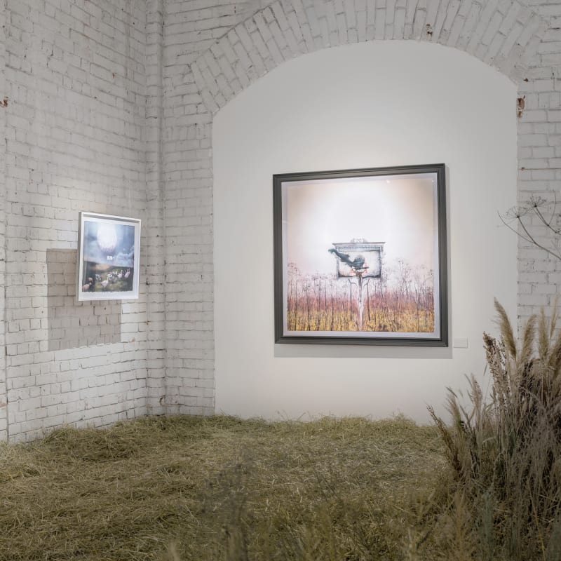 Нормы Инсоляции, Дима Ребус в «Смене»