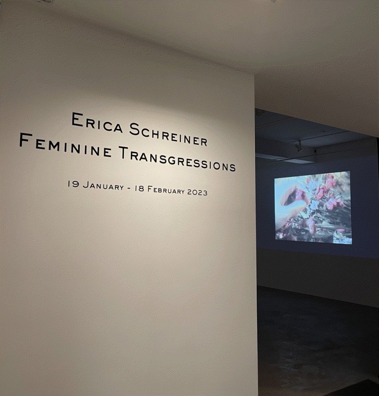 Erica Schreiner: Feminine Transgressions