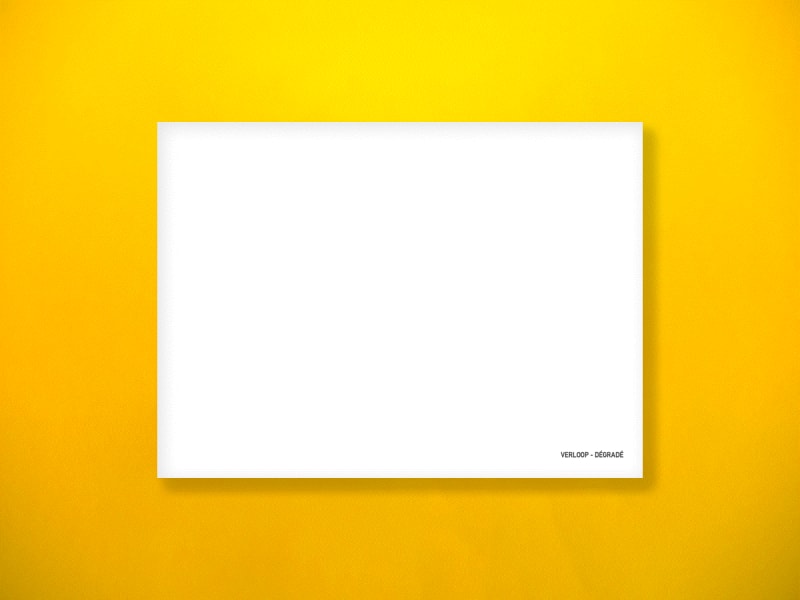 Verloop – Dégradé, Book Signing with RRose Editions at Paris Photo 2024